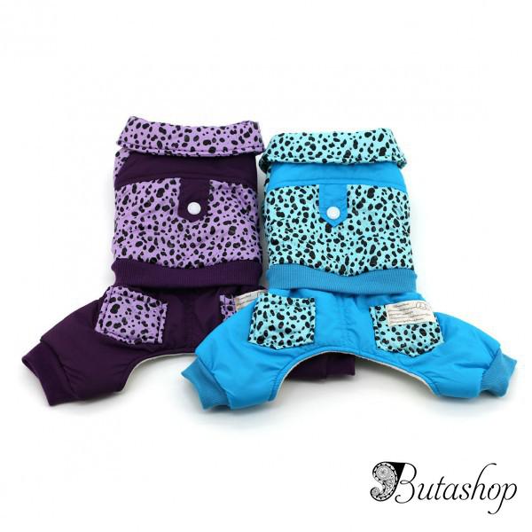 РАСПРОДАЖА! Спортивный комбинезон для собак водонипроницаемый - www.butashop.com