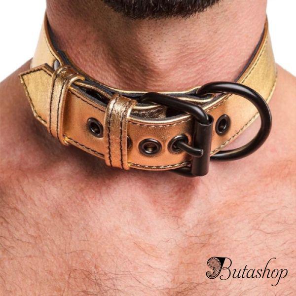 Золотичный ошейник Bondage Fetish Metallic Gold Pup Collar With Leash - www.butashop.com