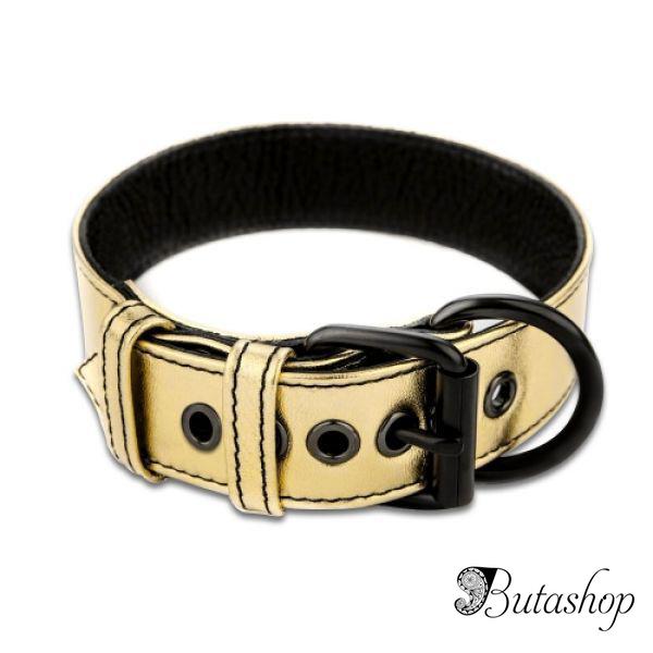 Золотичный ошейник Bondage Fetish Metallic Gold Pup Collar With Leash - www.butashop.com