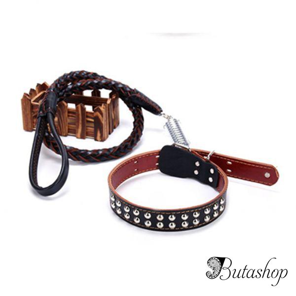 Коричневый кожаный ошейник - www.butashop.com